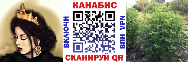 Где найти наркотики Моздок МАРИХУАНА  Альфа ПВП  ГАШ  Мефедрон  гидра как зайти  COCAIN 