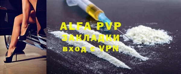 стаф Алзамай